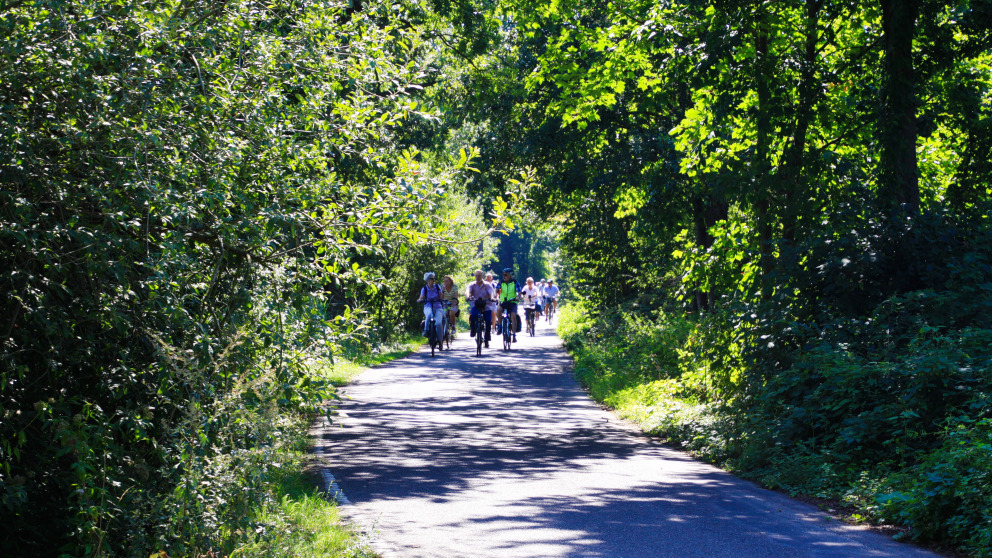 Breit, gepflegt, von Grün flankiert: So wie hier in Viersen (Nordrhein-Westfalen) sieht laut der IASS-Umfrage ein idealer Radweg aus.