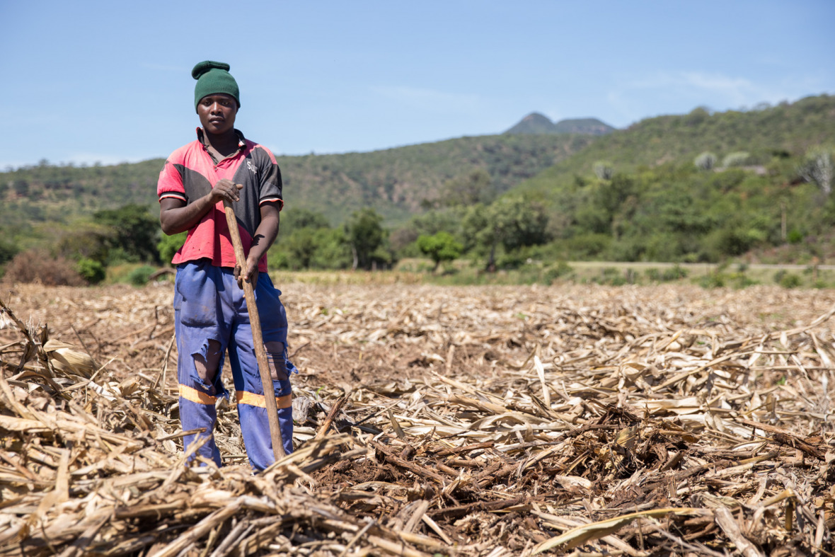 Zimbabwe_farmer_Copyright_Ashraf_Hendricks_GroundUp/ CC-license